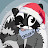 Raccoonmasks
