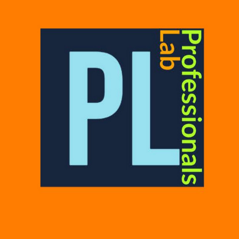 Professionals Lab!Aws-DevOps and Digital Marketing