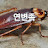 @보이스피싱바퀴벌레