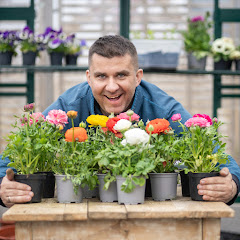 Hubert Lamański avatar
