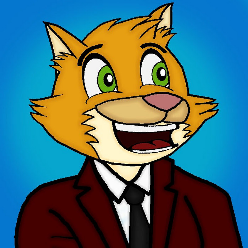 Nicky The Cat