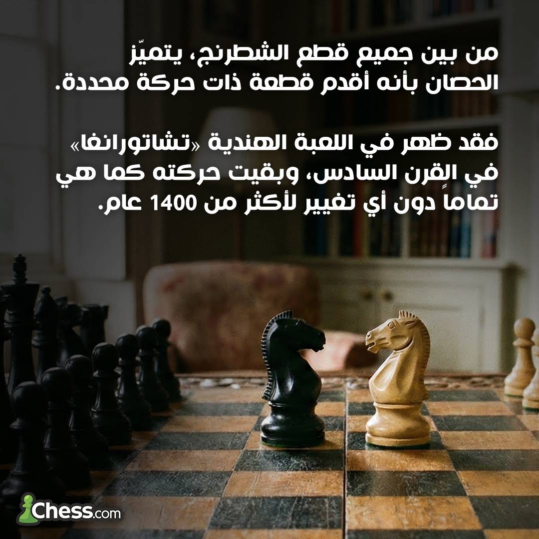 Post from Chesscom Arabic