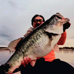 Dab Dub FISHING