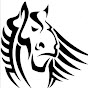 ShireIO