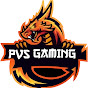 PVS GAMING