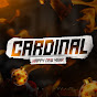 Логотип каналу Cardinal PUBG