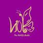 VIOFLY MEDIA logo