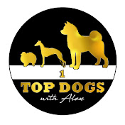 Top Dogs With Alex