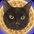 SSgPAjjplyE-channel-avatar-Wybee