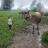 @Luna9-37 Avatar