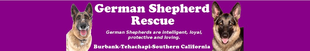 German Shepherd Rescue - Burbank Avatar channel YouTube 