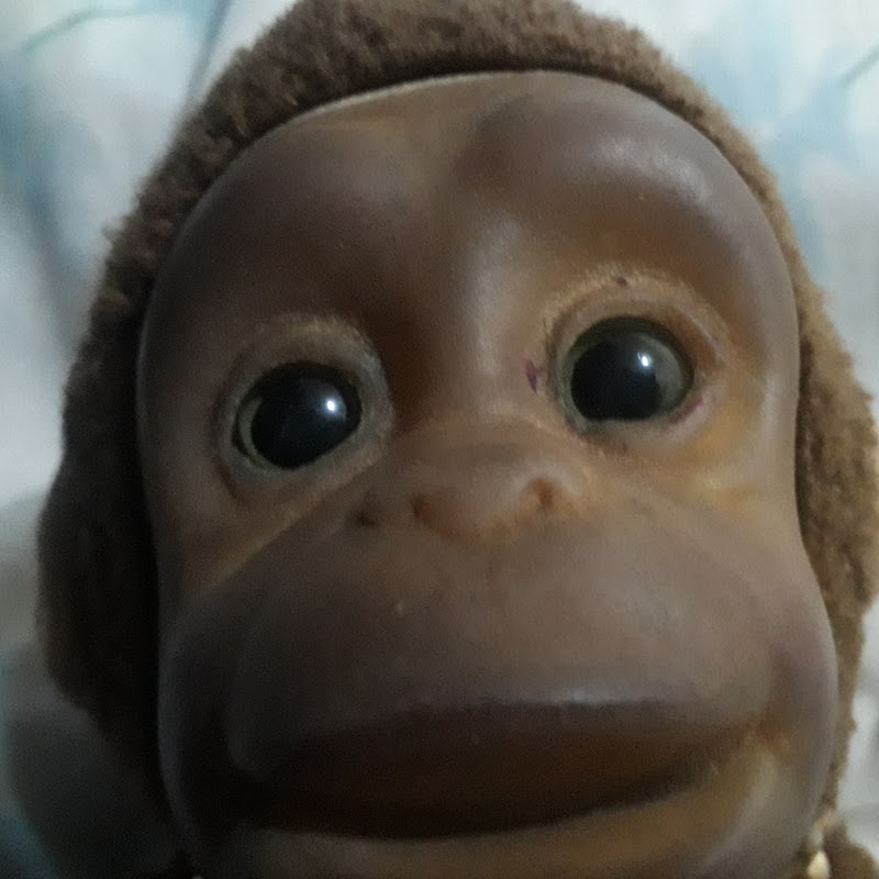 The Monarca Mons