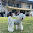 @TV-xk1cn