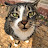 @user-fz2kr6yt4x