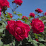 Channel Image