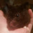 @rosemarieweinrib3303 Avatar