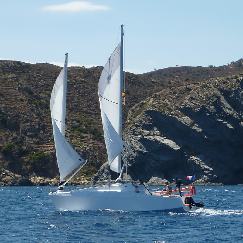 musard29