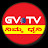 GVTV MEDIA