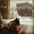5q8-Zv7aH7c-channel-avatar-busra_011