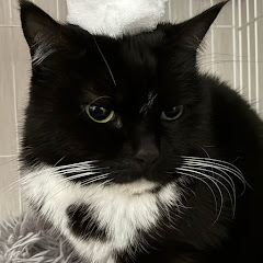 ゲーム好きな元コンビニ社員