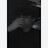 avatar of @nafiz-q9l