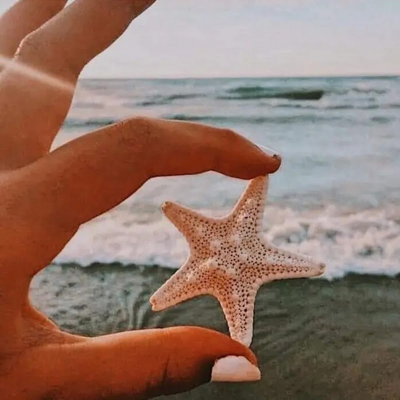 النجمة المتلألئة