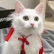 雪之丞のふわふわちゃんねる