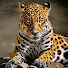 4aDocR5utL8-channel-avatar-Thai Exotic Channel
