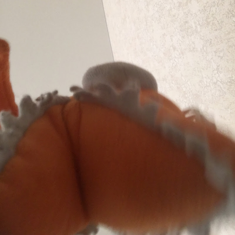 а4а4