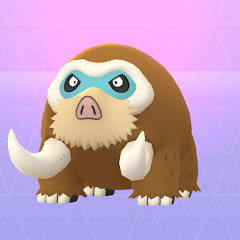 セグカミラッシャアイコン画像