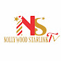 Nollywood Starlink TV logo