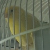 1TakeSpinn profile image