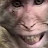 @FaouziaFaouziam696's avatar