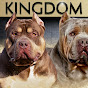 Kingdom Bully Kennels