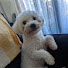 IIAlzBV3_jg-channel-avatar-TheDawg