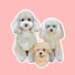 s3TSLBfaxdc-channel-avatar-プーちゃんねる•愛犬とおでかけ🐾