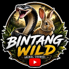 Bintang Wild animal channel
