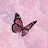 @dodohesham5079