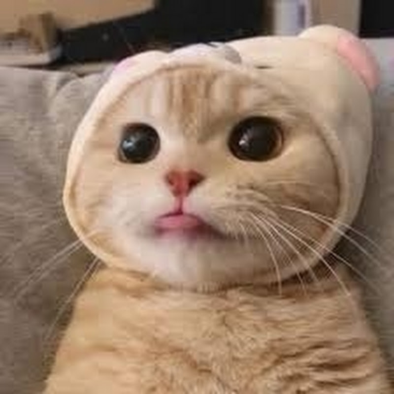@마법의소주