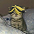 nIT7jFGRwQA-channel-avatar-Alex U3U