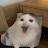 @rocketjjang