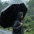 MZlPhxzdRGc-channel-avatar-Nova Rain Sleep