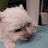 @TV-vx3mt