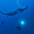 u_ehp-5Nzco-channel-avatar-MOKEN PLANET
