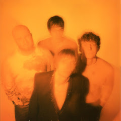 The Vices