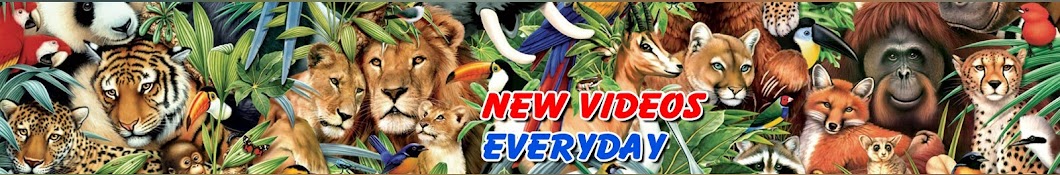 AnimalsTV यूट्यूब चैनल अवतार