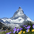 UA9SA7zpHFg-channel-avatar-Virtual Switzerland