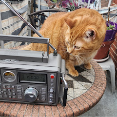 OfficialSWLchannel Avatar