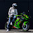 krt_zx10r