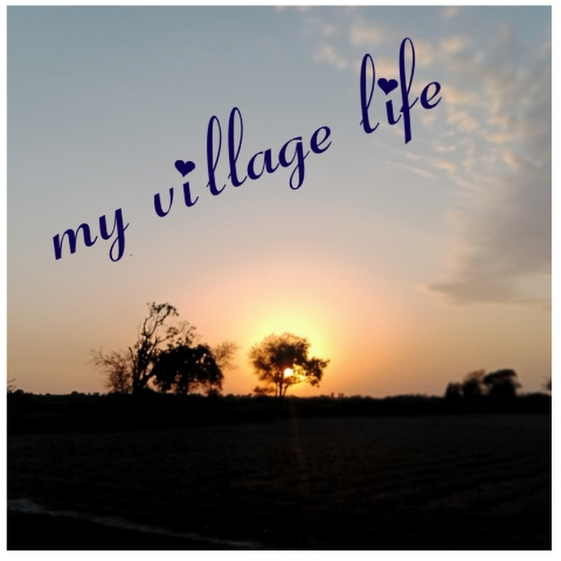 My village life Vlogs